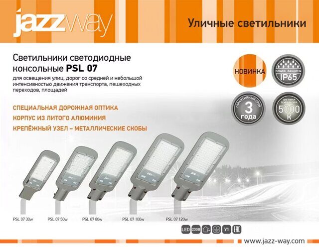 Светильники светодиодные консольные PSL 07