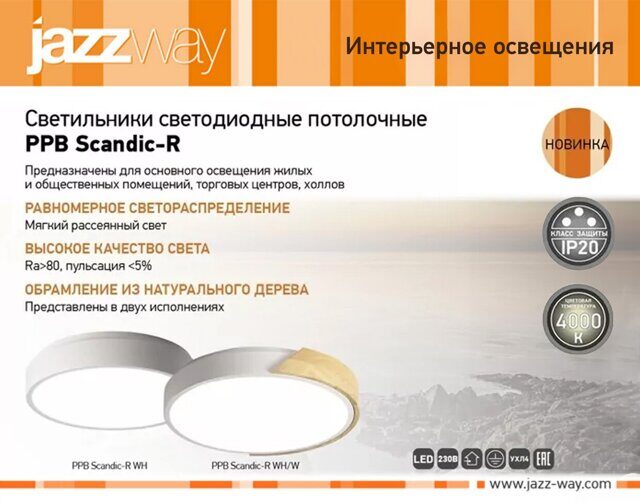 Светильники светодиодные потолочные PPB Scandic-R